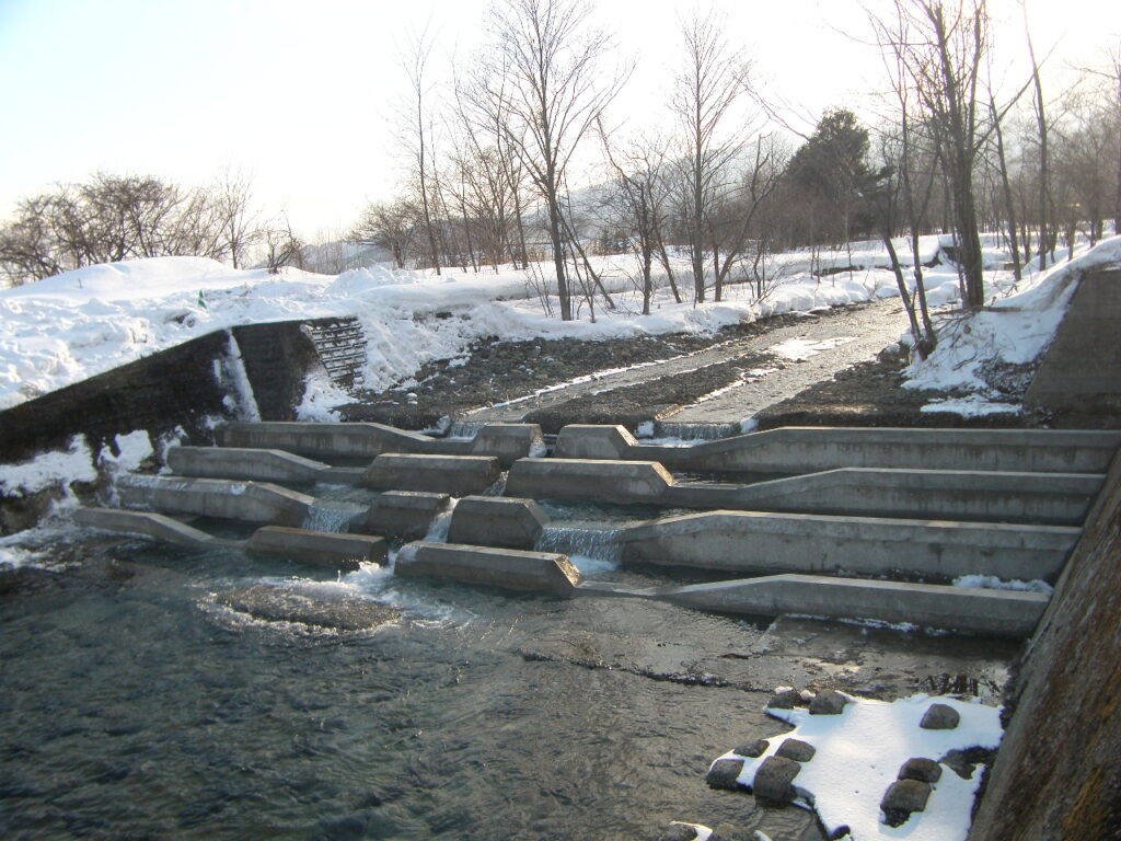 勇振川道単砂防工事