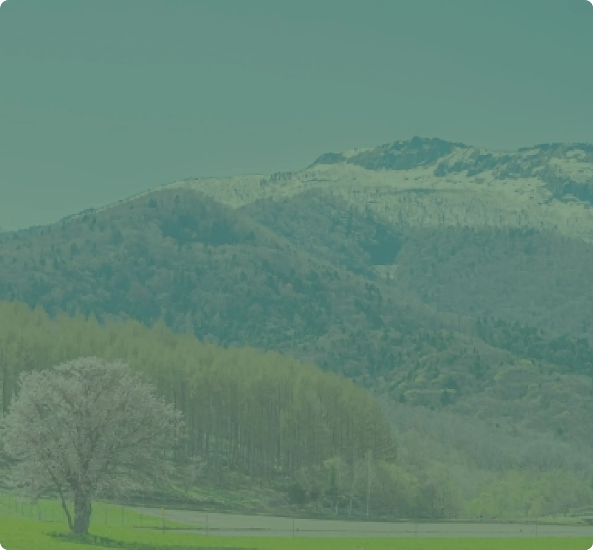 CLIMATE-FRIENDLY CONSTRUCTION