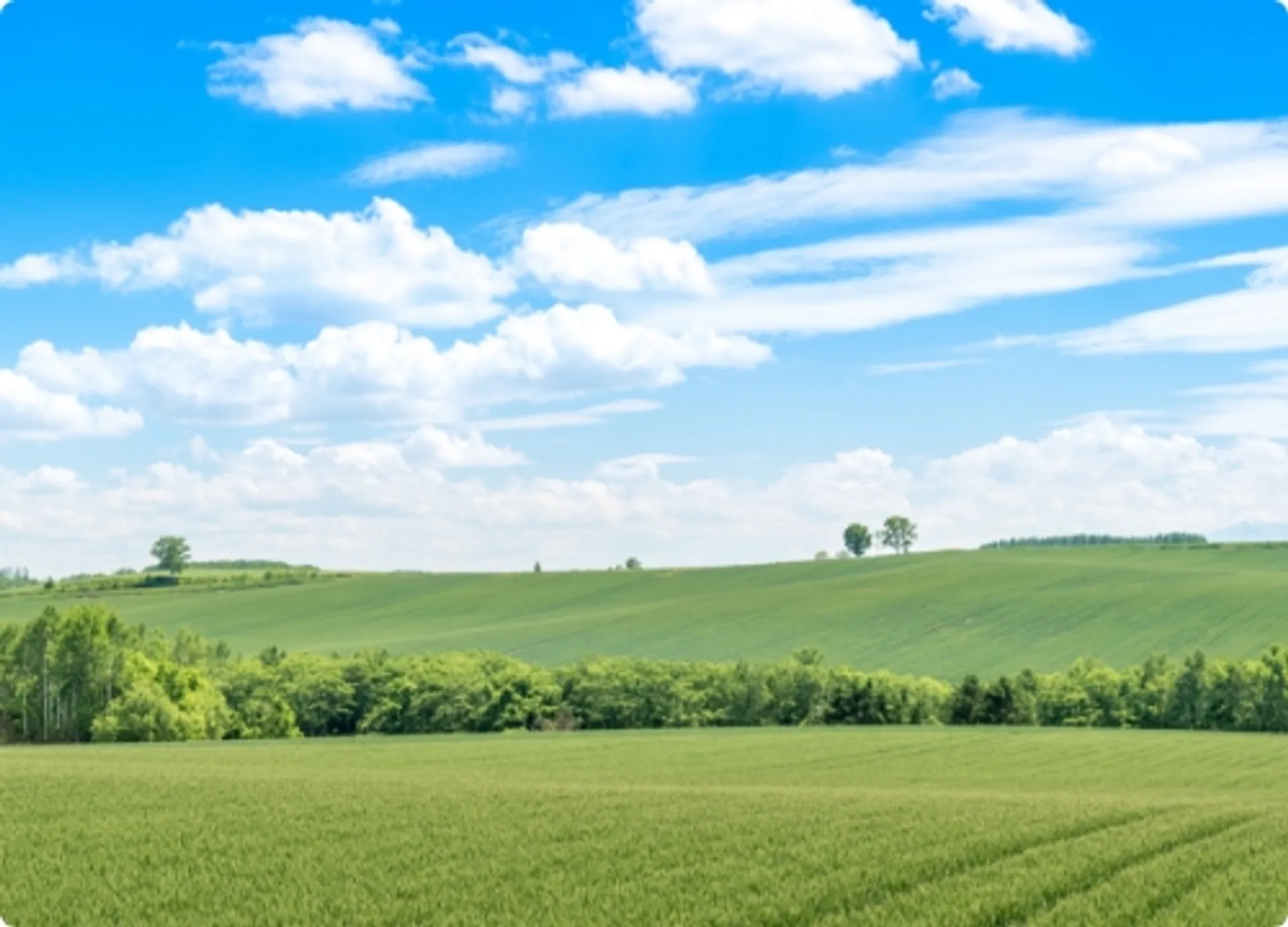 富良野の広大な丘陵地と青空が広がる風景