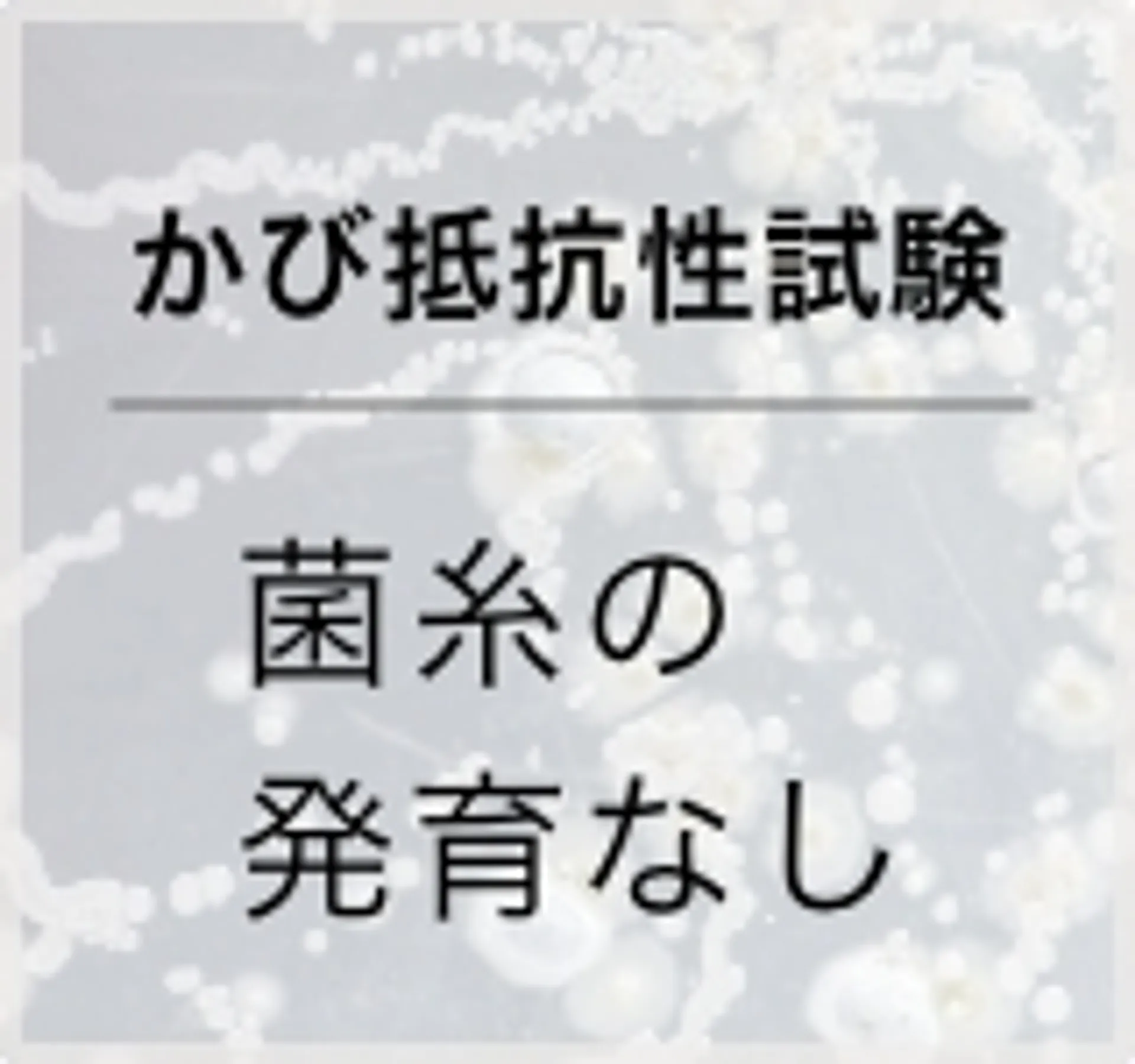 かび抵抗性試験菌糸の発育なし